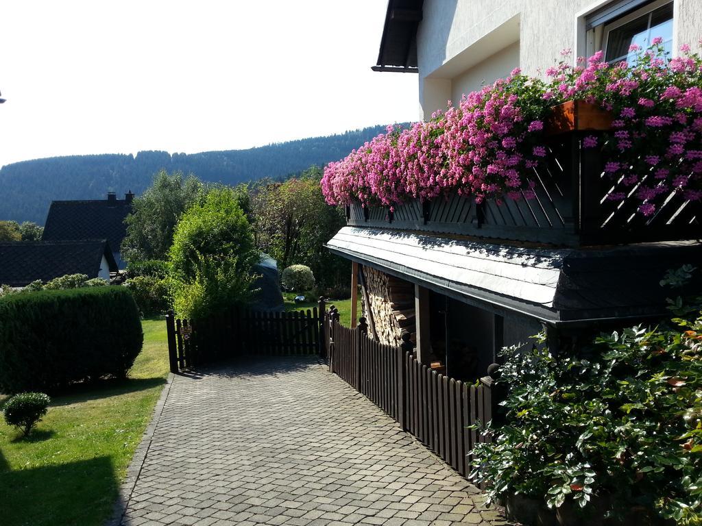 Ferienwohnungen Luge - Winterberg Zewnętrze zdjęcie