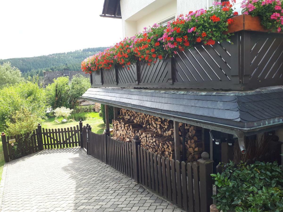 Ferienwohnungen Luge - Winterberg Zewnętrze zdjęcie