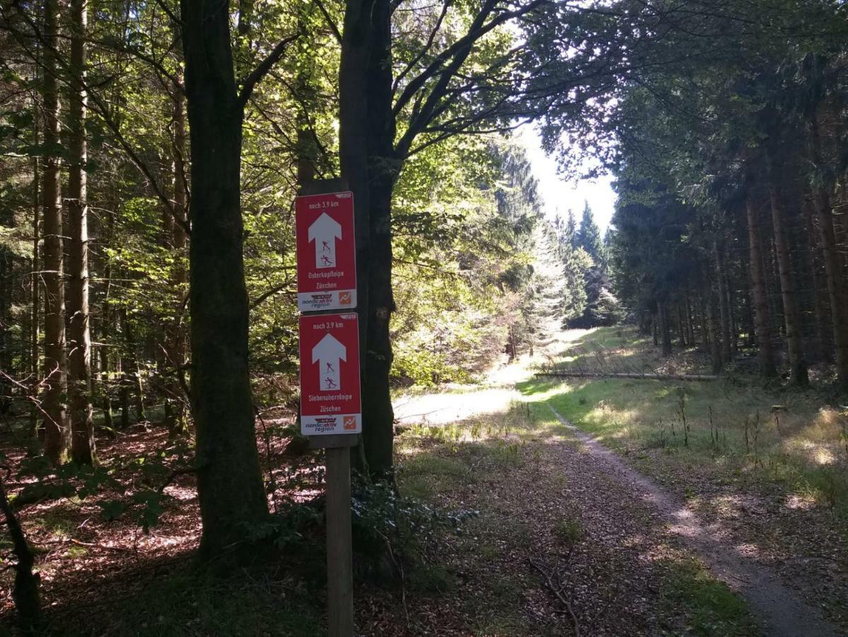Ferienwohnungen Luge - Winterberg Zewnętrze zdjęcie