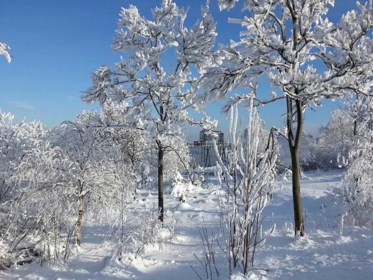 Ferienwohnungen Luge - Winterberg Pokój zdjęcie