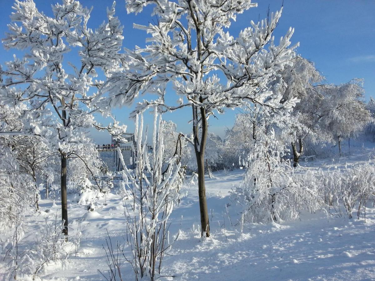 Ferienwohnungen Luge - Winterberg Pokój zdjęcie