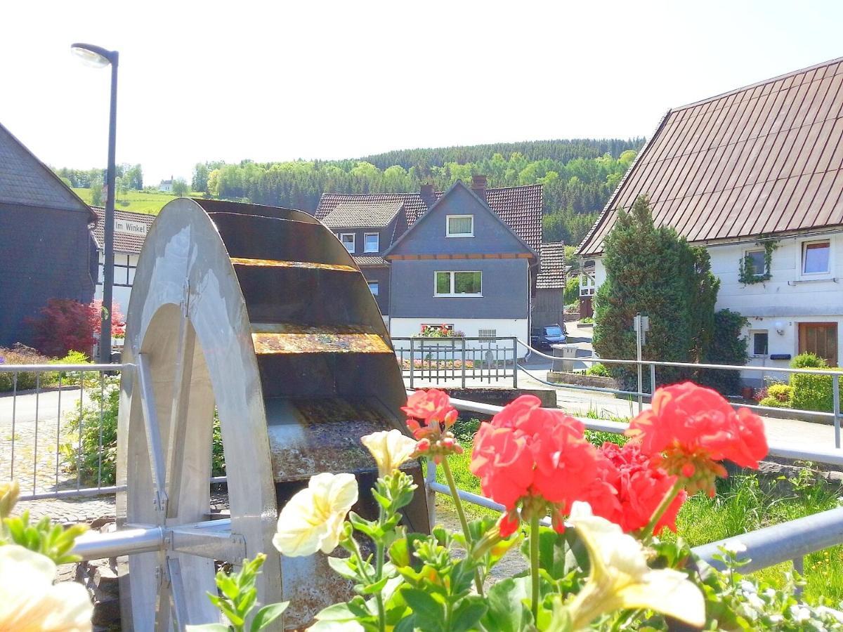 Ferienwohnungen Luge - Winterberg Pokój zdjęcie